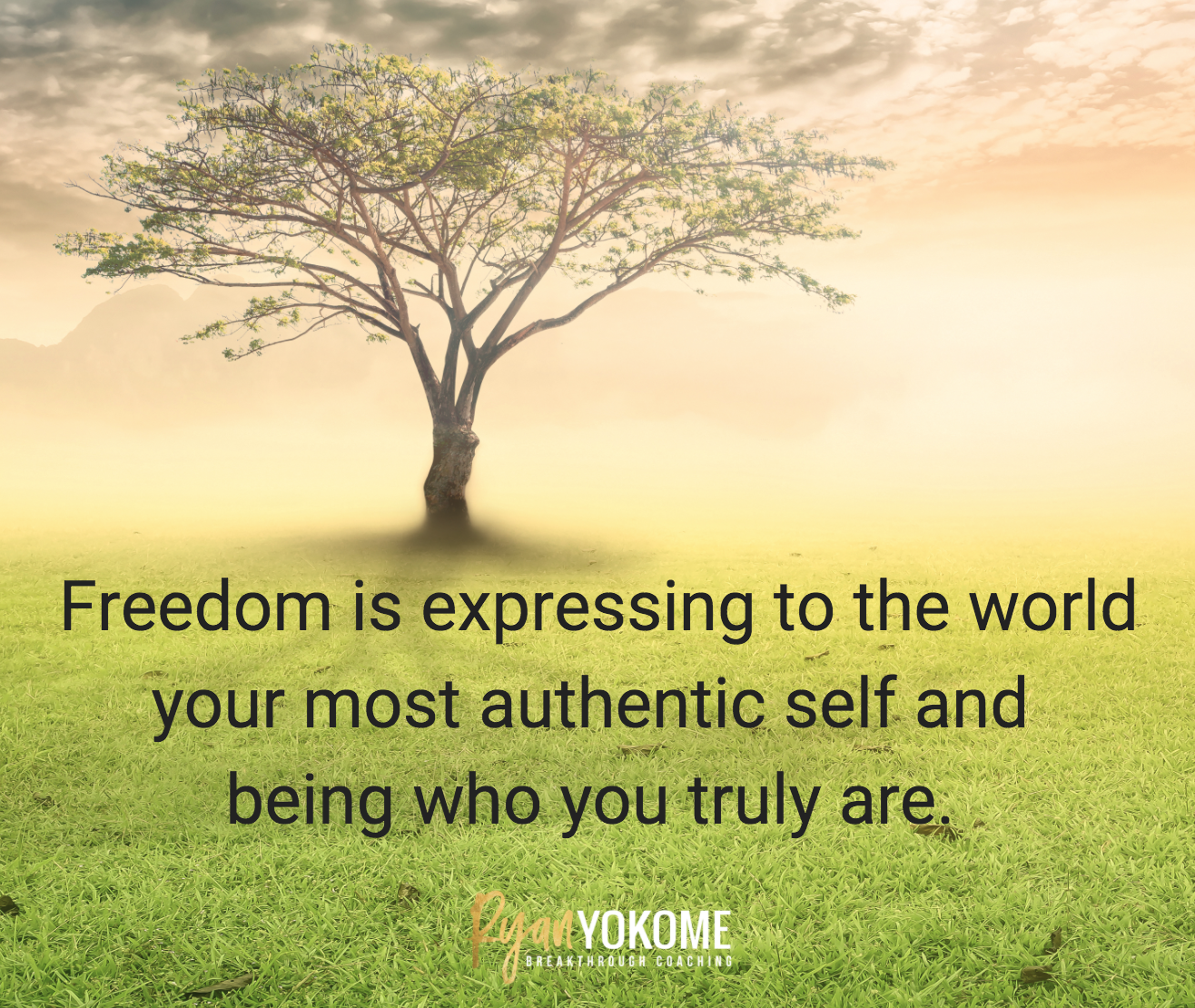 Much of your world. What does Freedom mean to you. What is Freedom. It is Freedom. What does Freedom mean to you? Перевод.